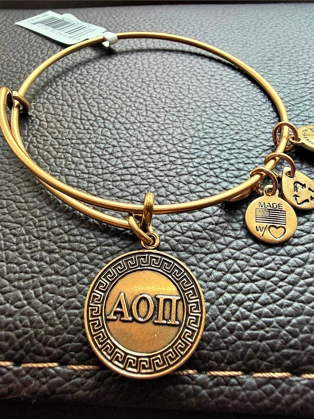 Alex and Ani Alpha Omicron Pi Charm Bangle Gold Charm Bangle